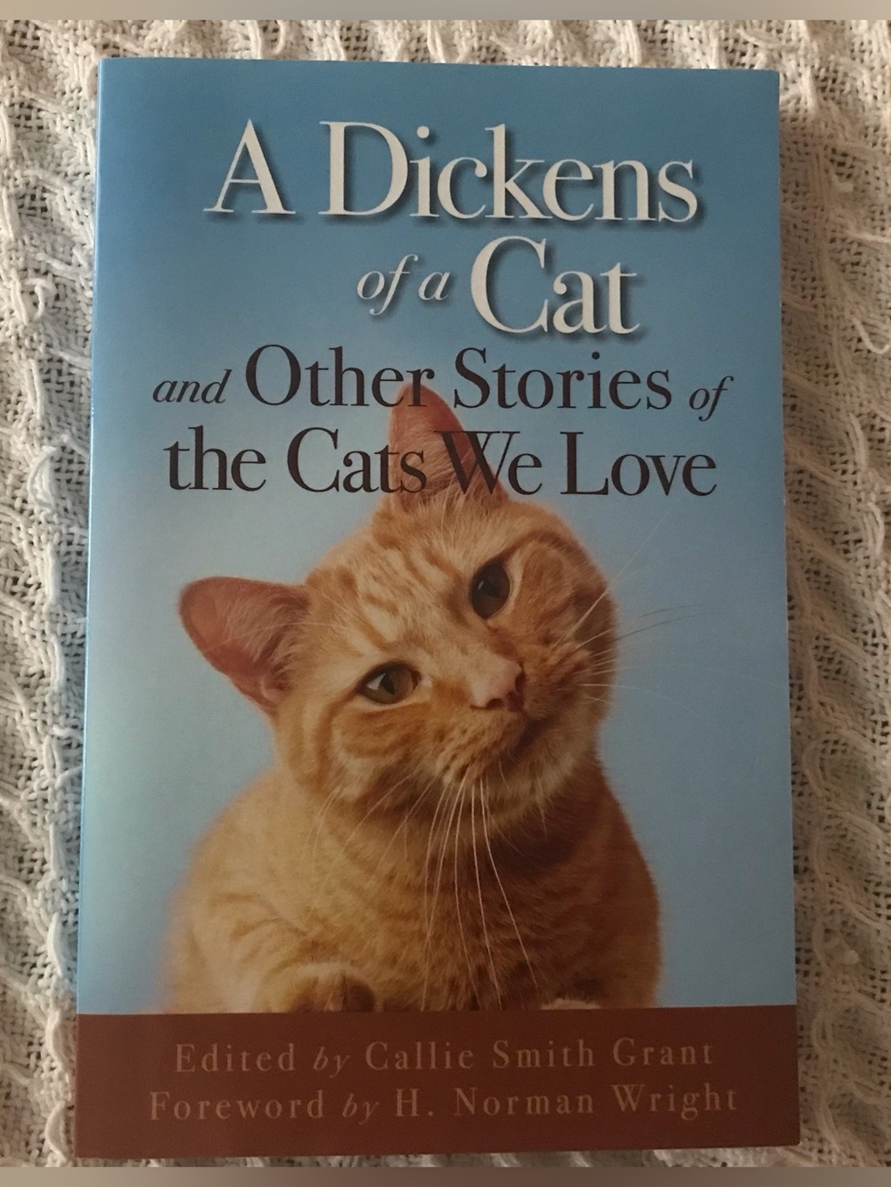 A Dickens of a Cat Book